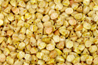 Mačkaná pohanka klasik 5x4 mm, 30 ks - travertin na křídě