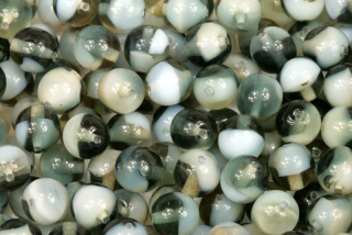 Mačkané korálky kuličky 8 mm, 20 ks/16 cm - šedá žíhaná